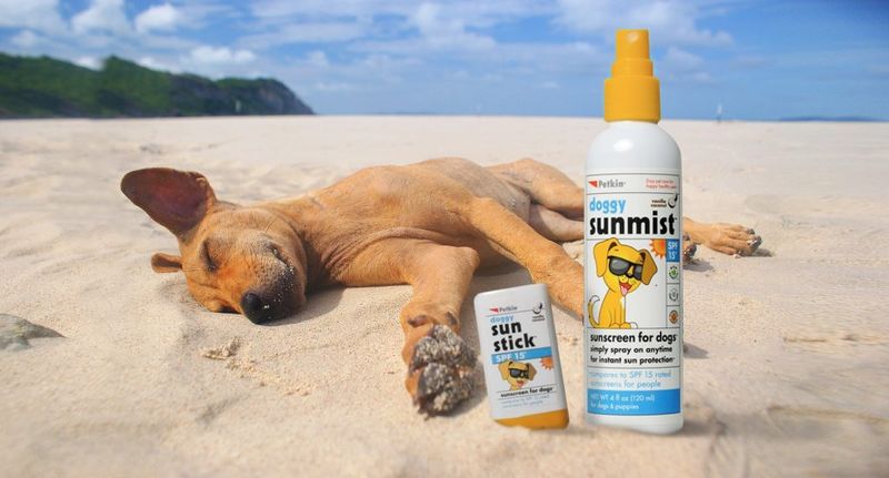 Dog-Friendly Sunscreen