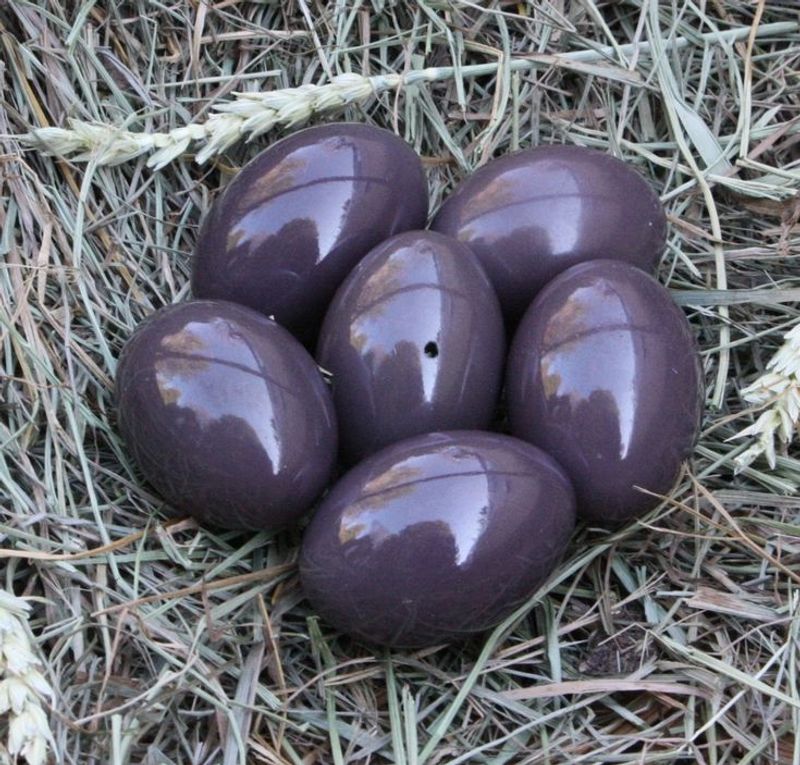 Tinamous