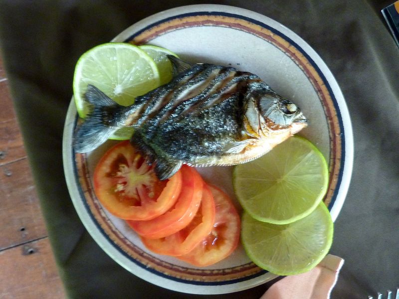 Piranhas as a Food Source