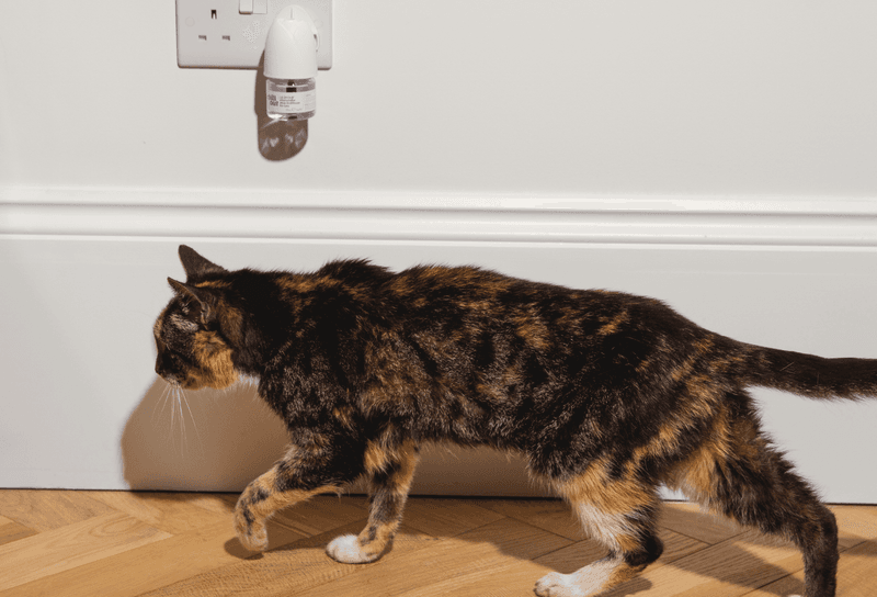 Utilize Feline Pheromones