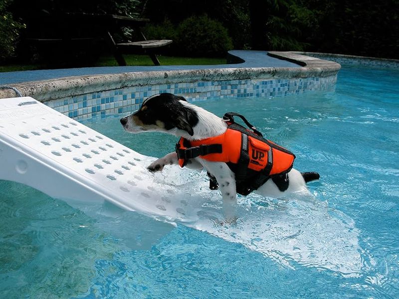 Scamper Ramp