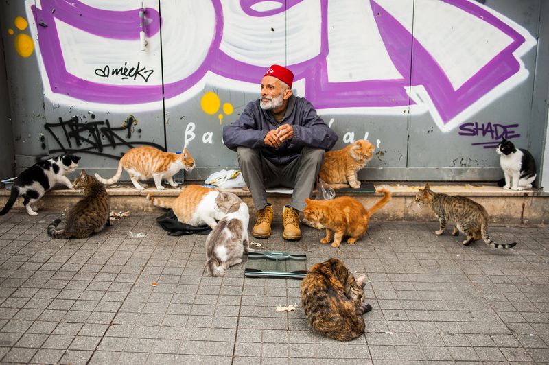 Community Caretakers