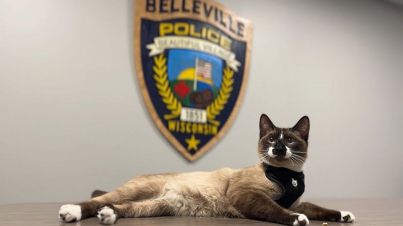 Disdain for Authority
