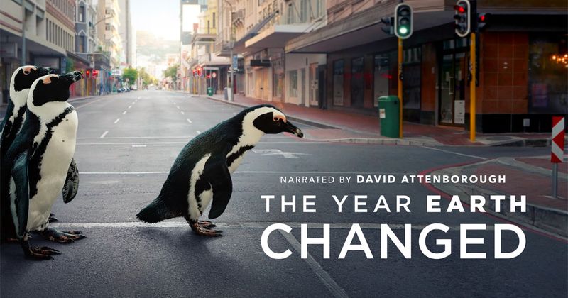 The Year Earth Changed