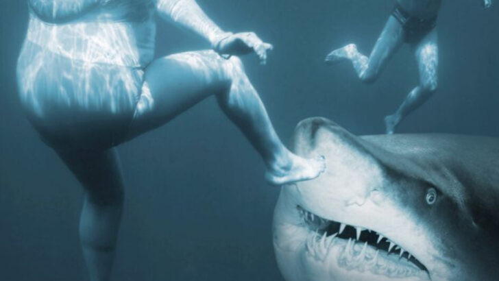 Deadly Waters: 10 Countries with Most Fatal Shark Attacks and 7 with the Least