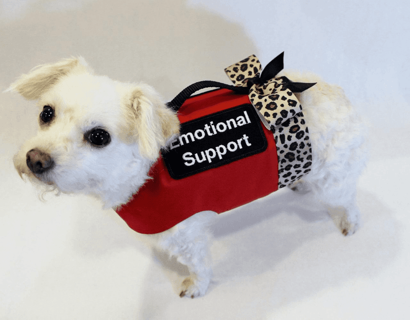 Pets as Emotional Support