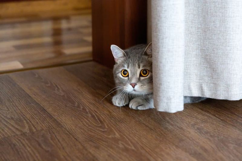 Unusual Hiding
