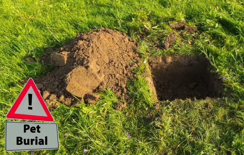 Misidentification of Site