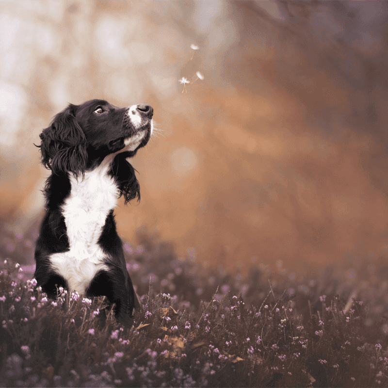 Unexpected Gifts from Nature