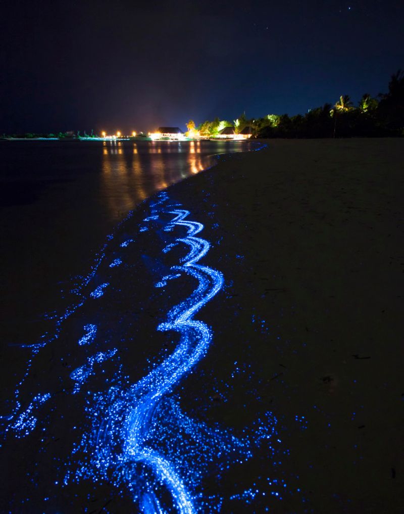 Sea Sparkle