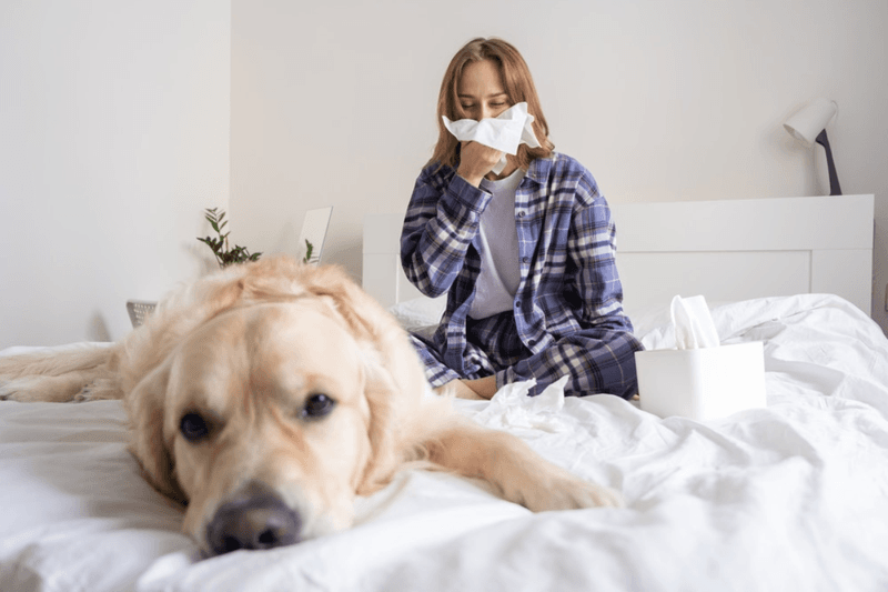 Allergy Flare-Ups