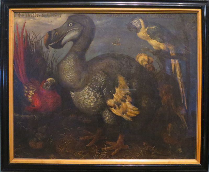 Rediscovery Through Art and Museums