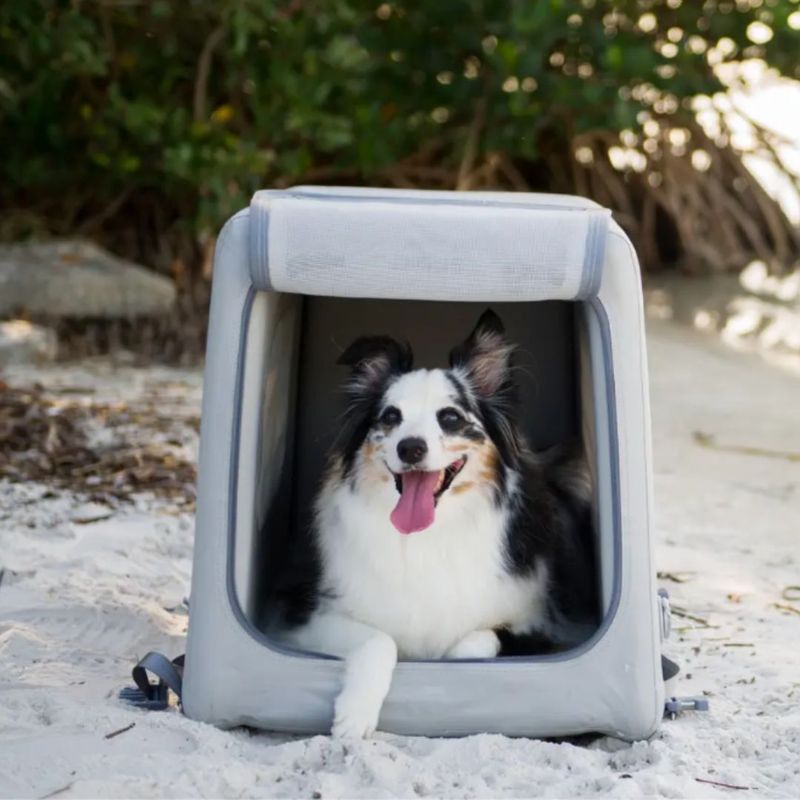 Dog Travel Crate