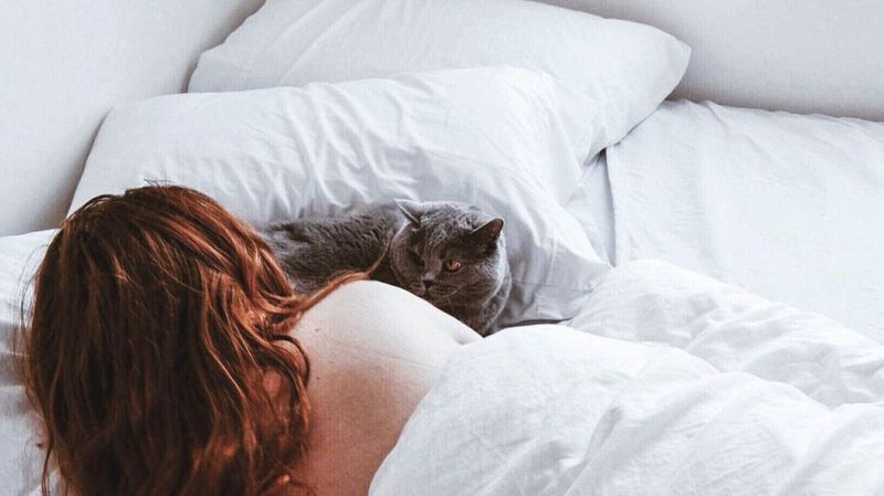 Cats and Migraine Sensitivity