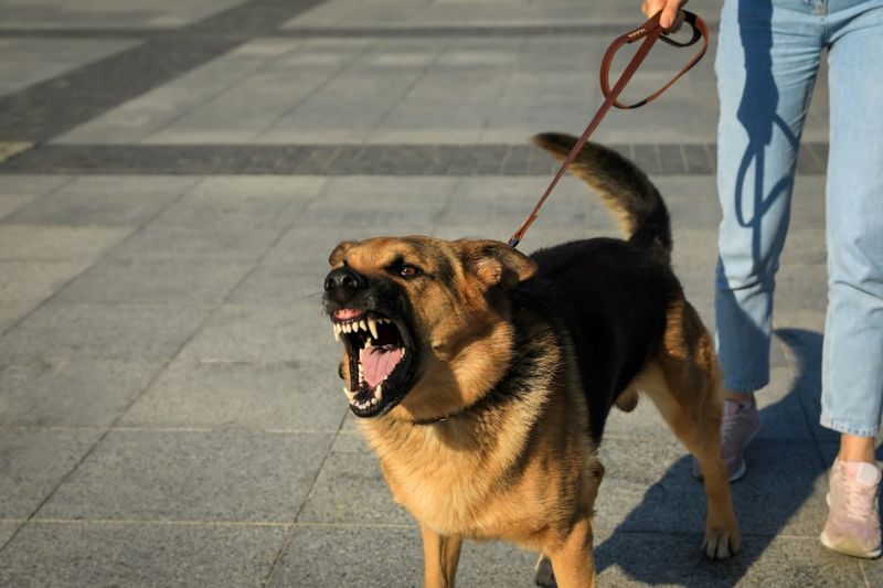 Aggression or Irritability