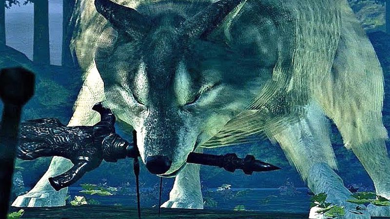 Sif, the Great Grey Wolf