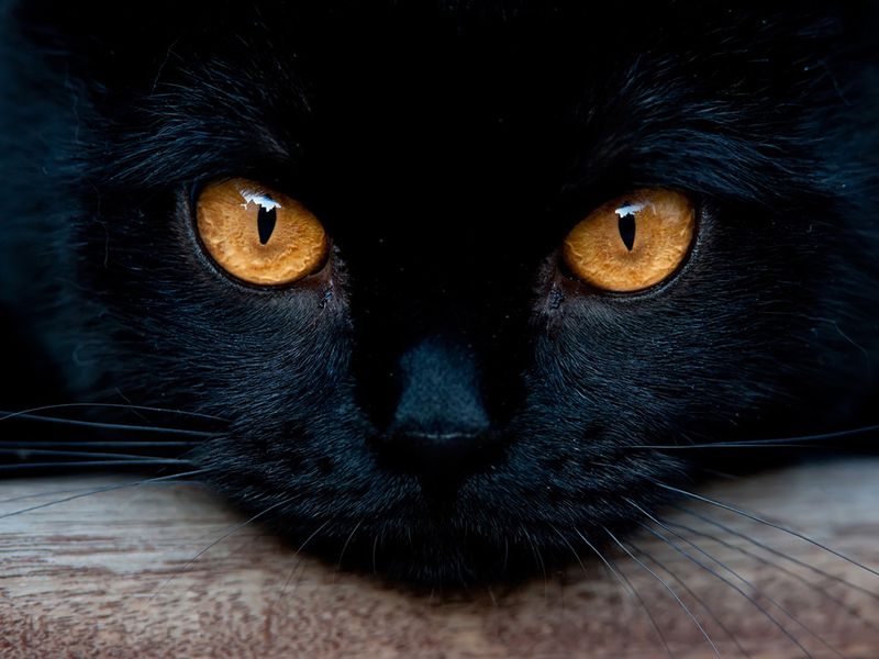 Striking Eyes