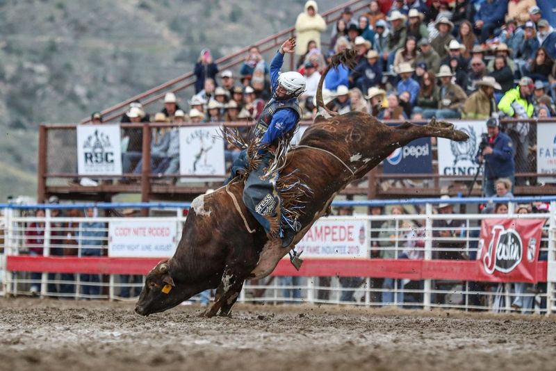 Cody Stampede Rodeo