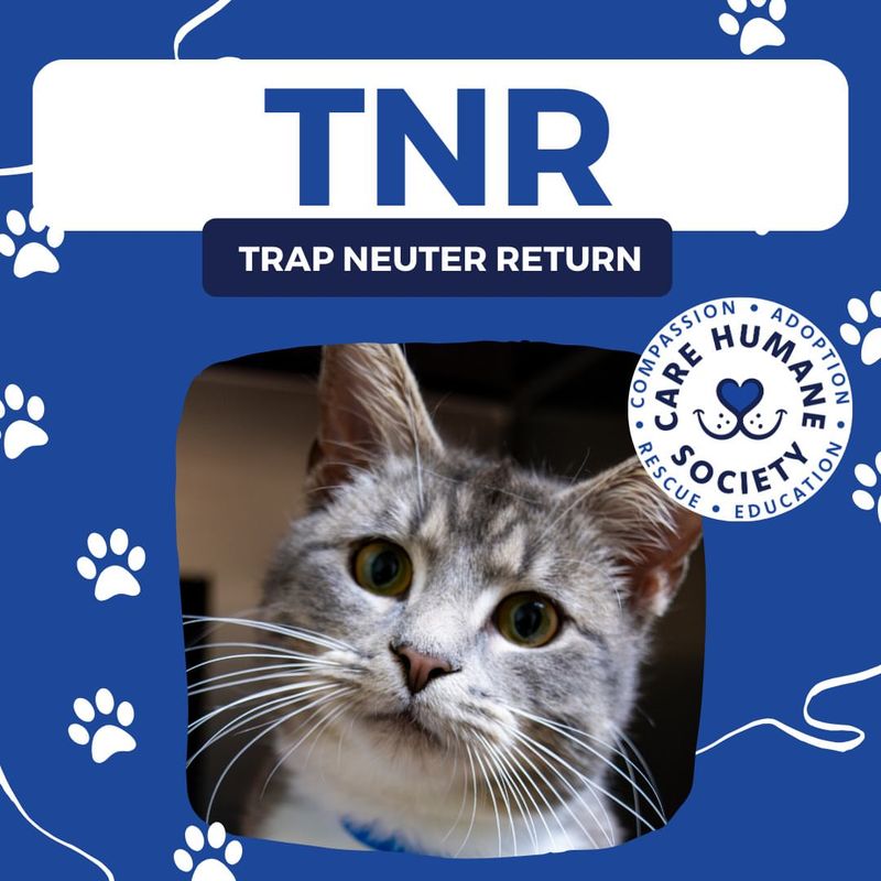 Implement Trap-Neuter-Return Programs