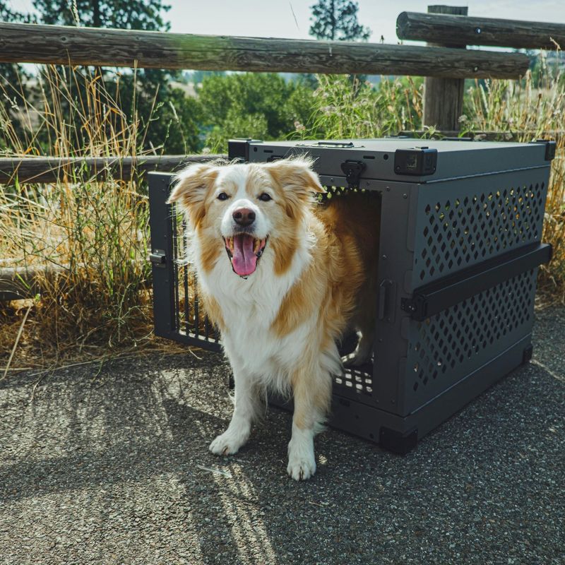 Implementing Crate Training