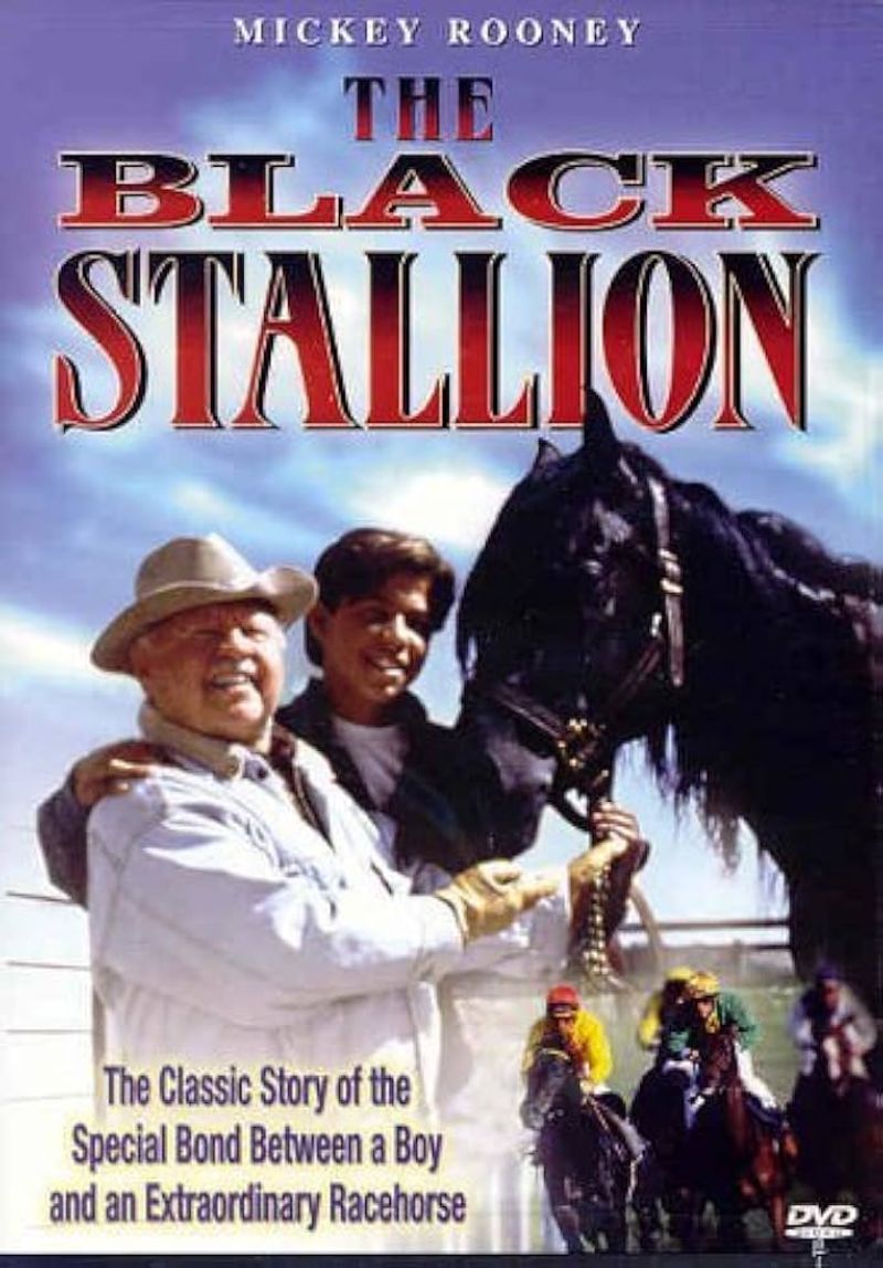 Horses in Film: Stars of the Silver Screen