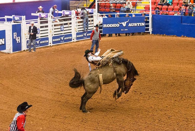 Rodeos
