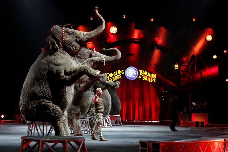 Cultural Shifts in Entertainment
