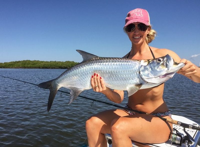 Homosassa River & Bay, FL