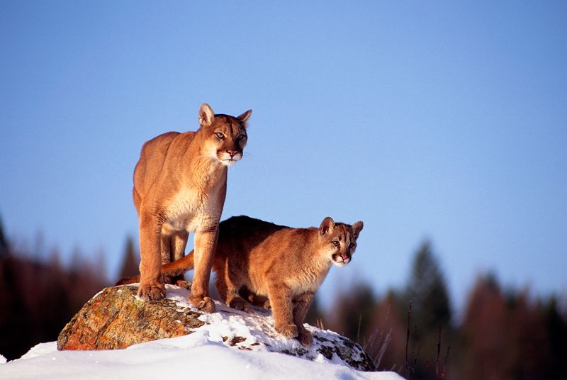 Rocky Mountain National Park, Colorado
