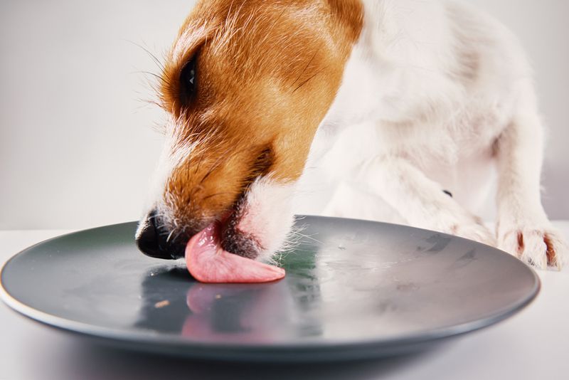 Tasting Something Delicious