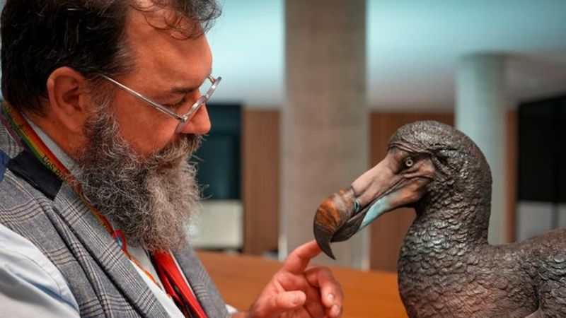 Myth vs. Reality: Dodo's Behavior