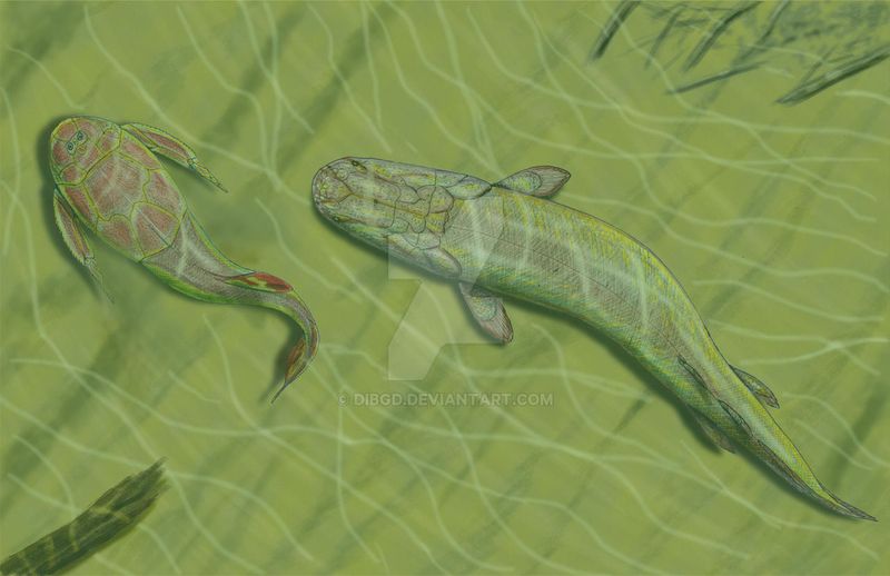 Orthacanthus