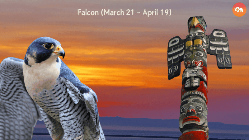 Falcon