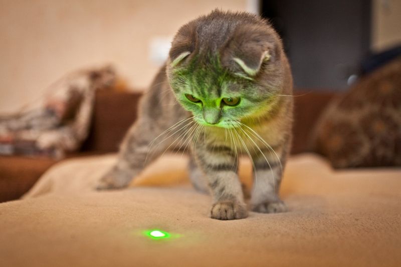 Laser Pointer