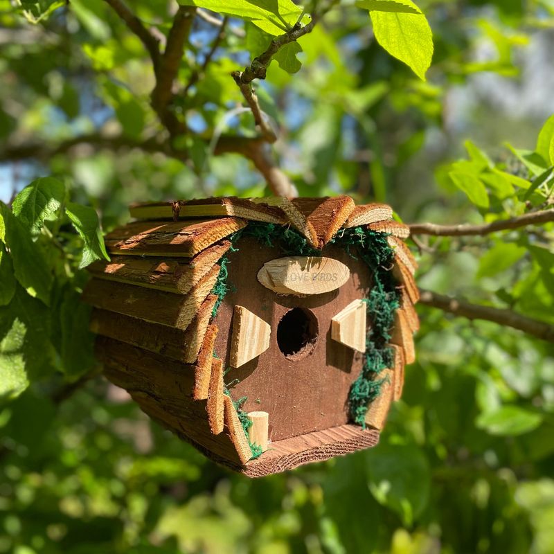 Shelter and Nesting Areas