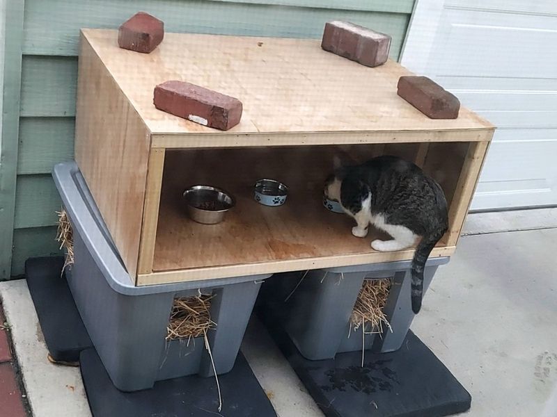 Overlooking Shelter Needs