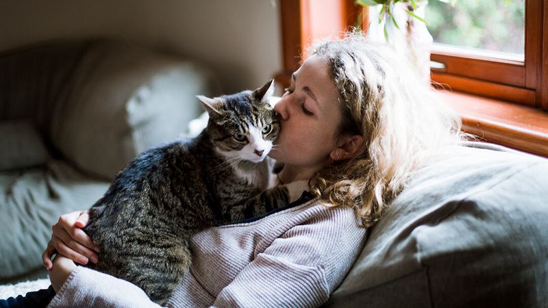 Quiet Companionship