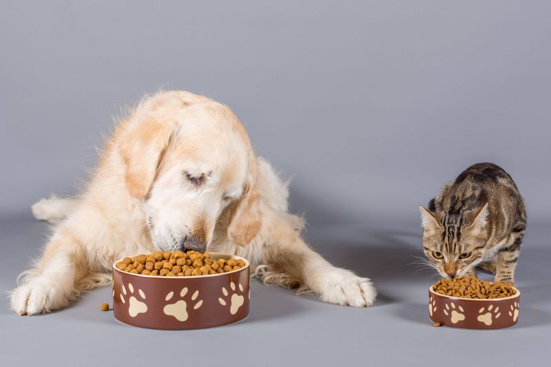 Feeding Routine Coordination