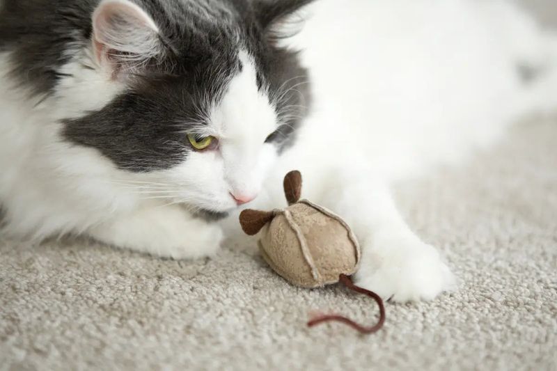 The Joy of Familiar Scents