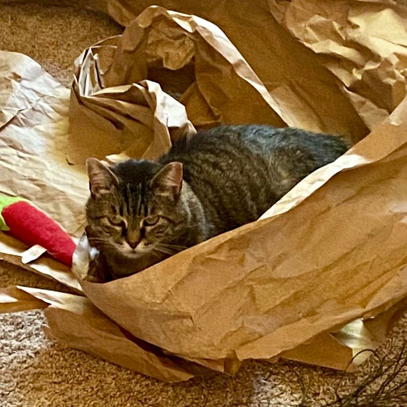 The Paper Chase