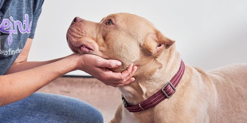 Emotional Support Networks
