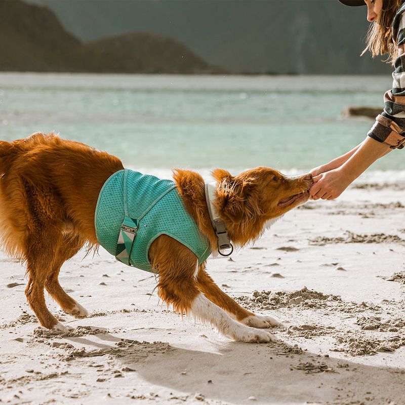 Dog Cooling Vest