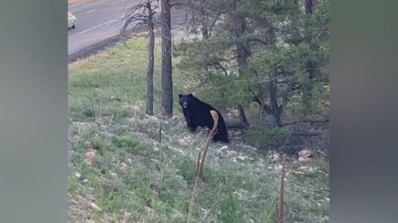 Flagstaff, Arizona