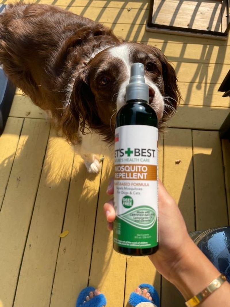 Vet-Approved Bug Repellents