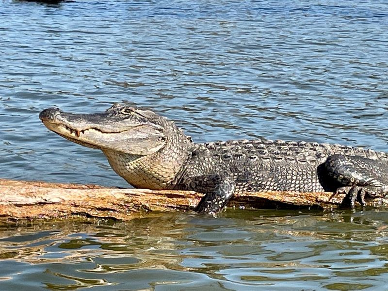 Louisiana