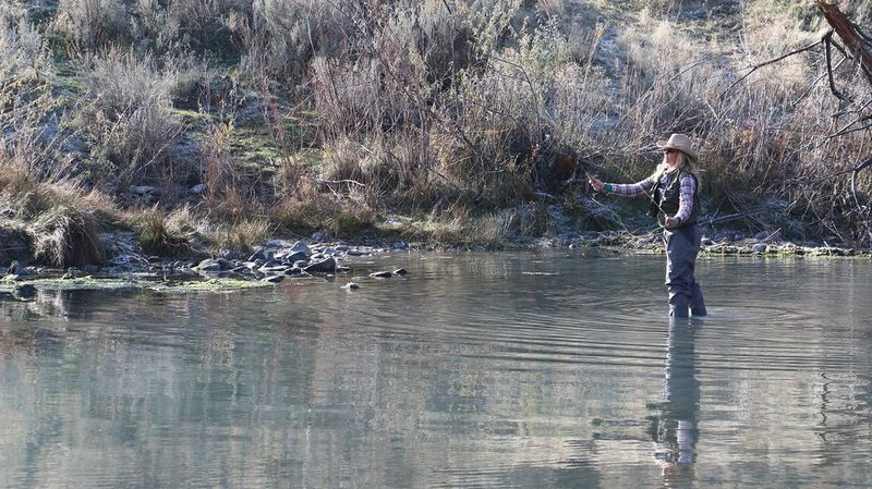 Idaho