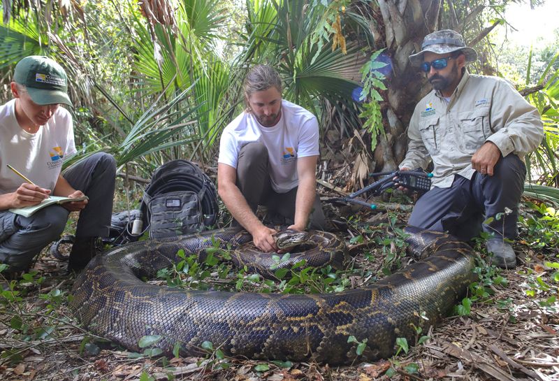Record Python Captures