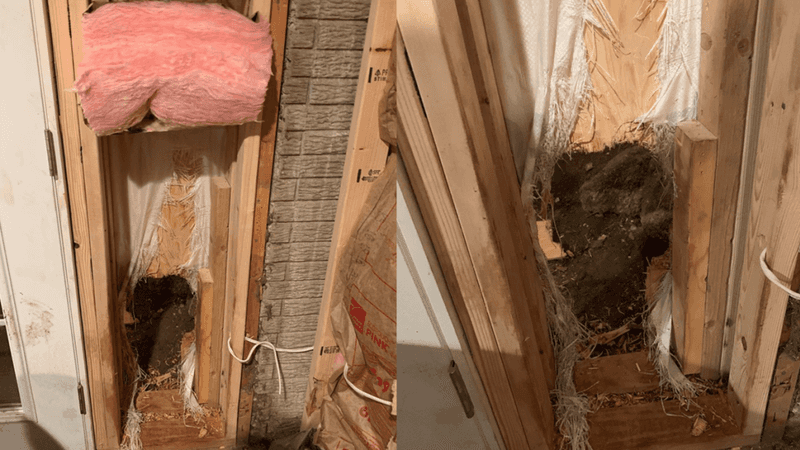 Colorado Wall-Buster