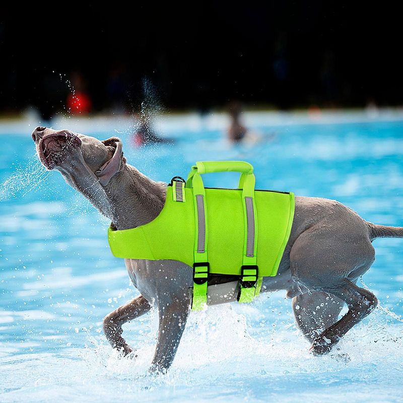PetFloat Vest