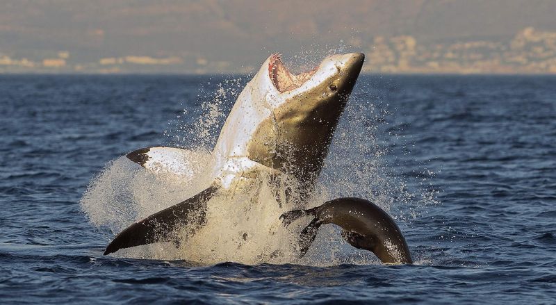 Kosi Bay, South Africa
